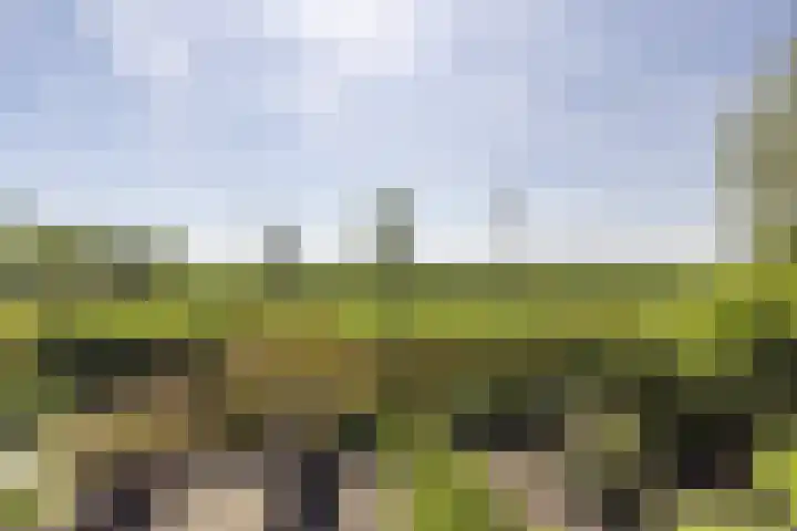 Blauwschildershof 53 Weesp thumbnail 4