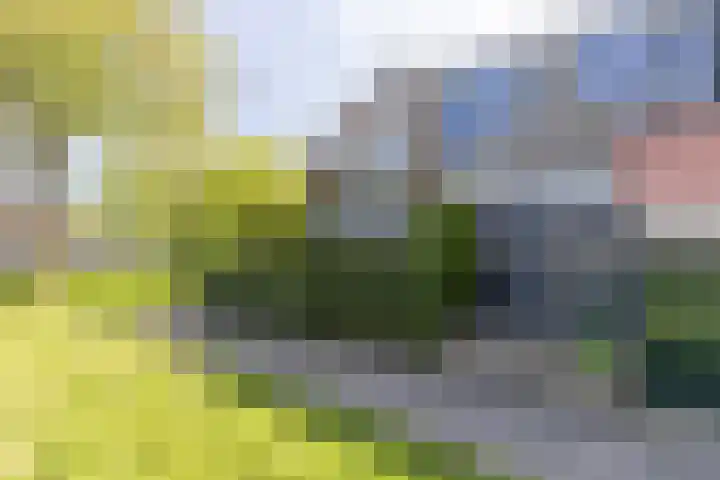 Blauwschildershof 53 Weesp thumbnail 6