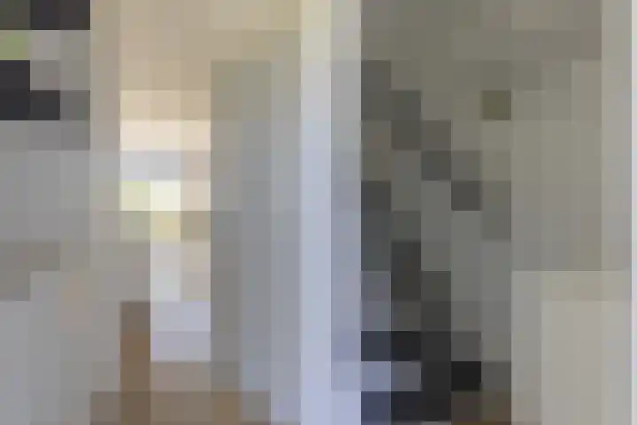 Blauwschildershof 53 Weesp thumbnail 8
