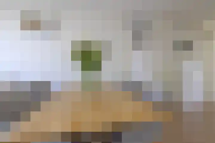 Blauwschildershof 7 Weesp thumbnail 10