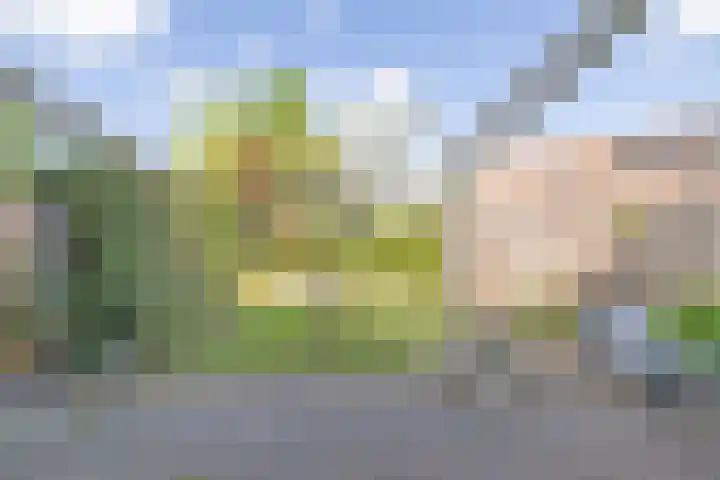Blauwschildershof 7 Weesp thumbnail 14
