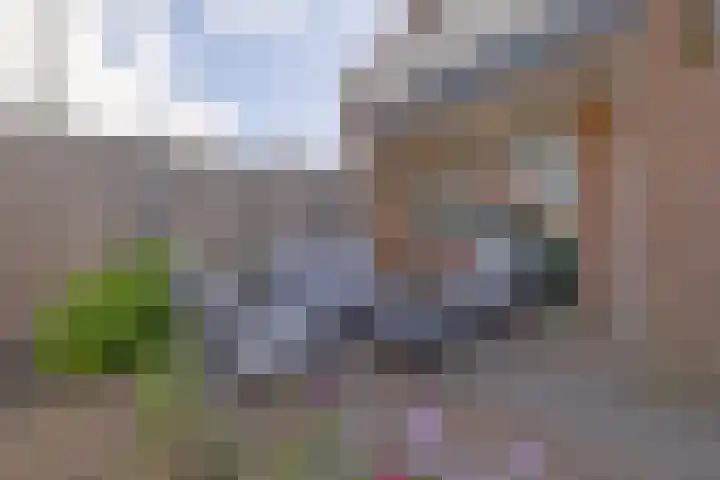 Blauwschildershof 7 Weesp thumbnail 15