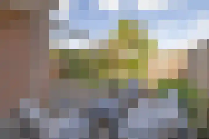 Blauwschildershof 7 Weesp thumbnail 16