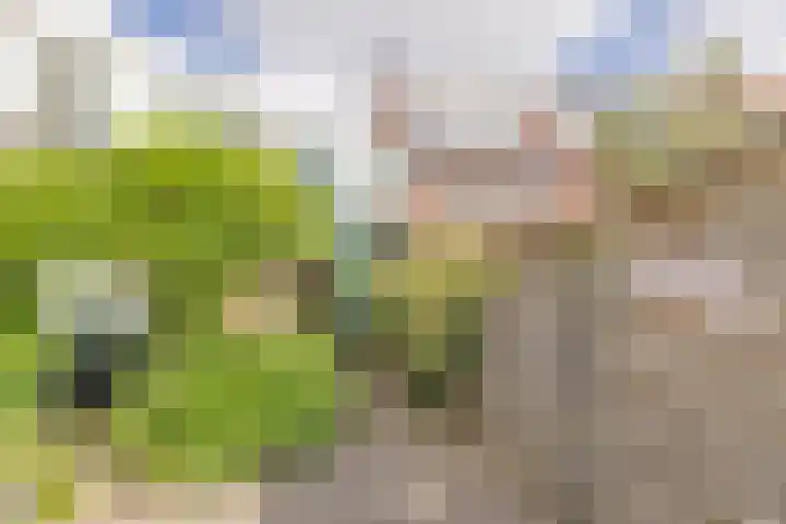 Blauwschildershof 7 Weesp thumbnail 5