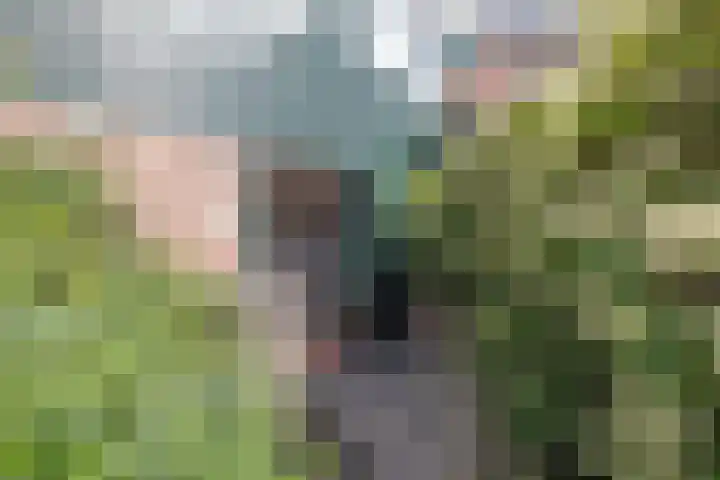 Blauwschildershof 7 Weesp thumbnail 6