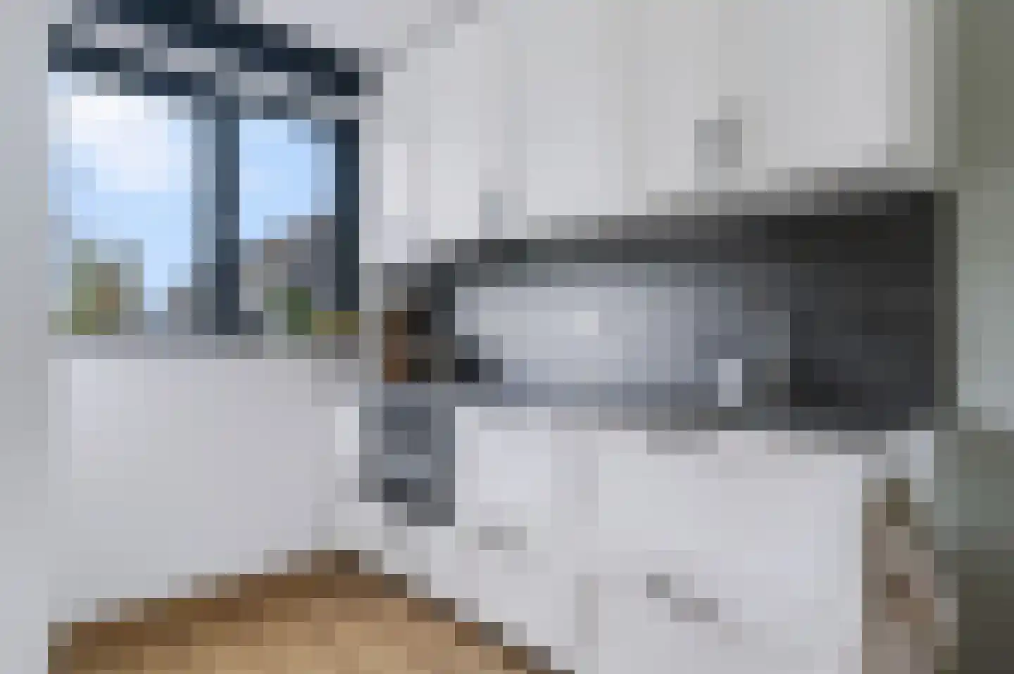 Blauwselmolen 5 Zwolle thumbnail 10