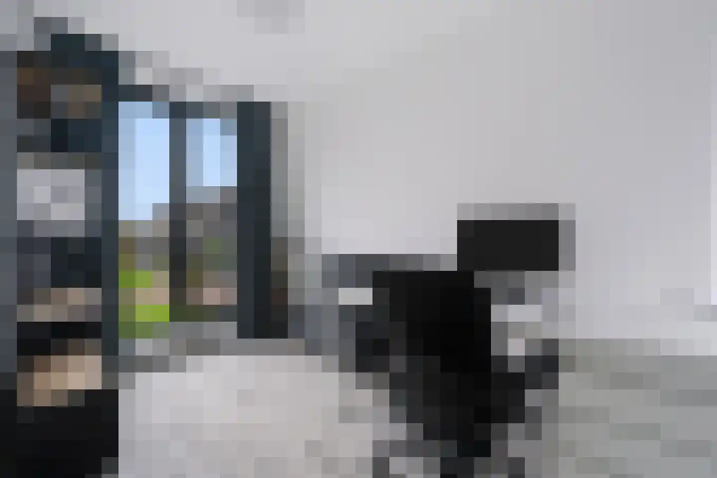 Blauwselmolen 5 Zwolle thumbnail 15