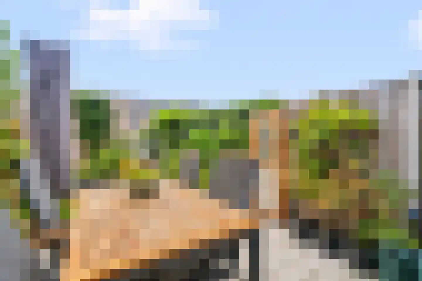Blauwselmolen 5 Zwolle thumbnail 27