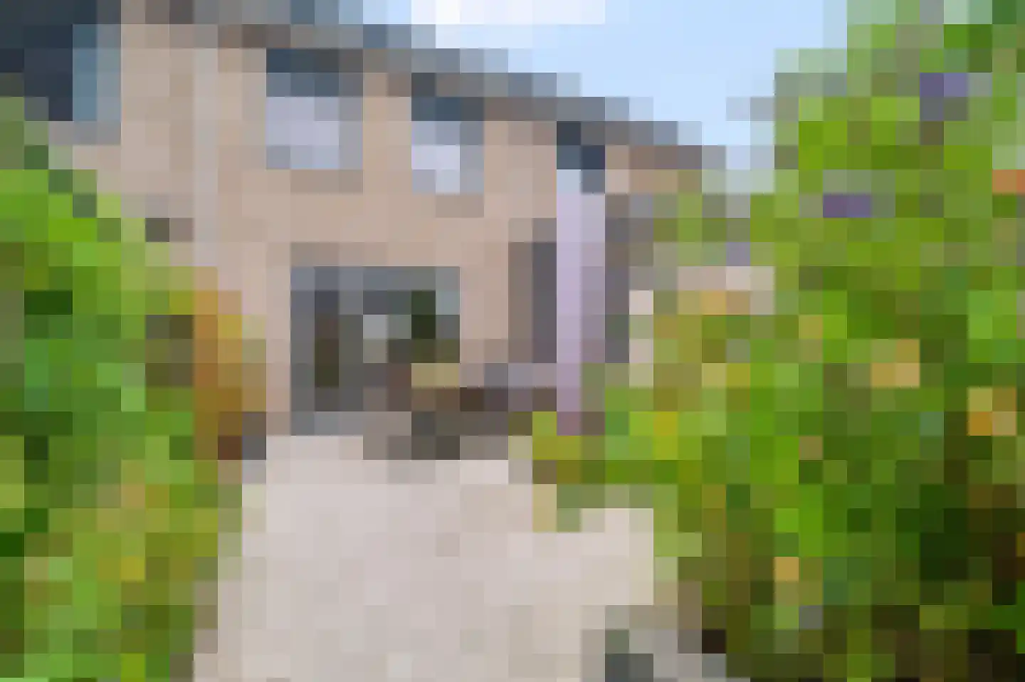 Blauwselmolen 5 Zwolle thumbnail 31