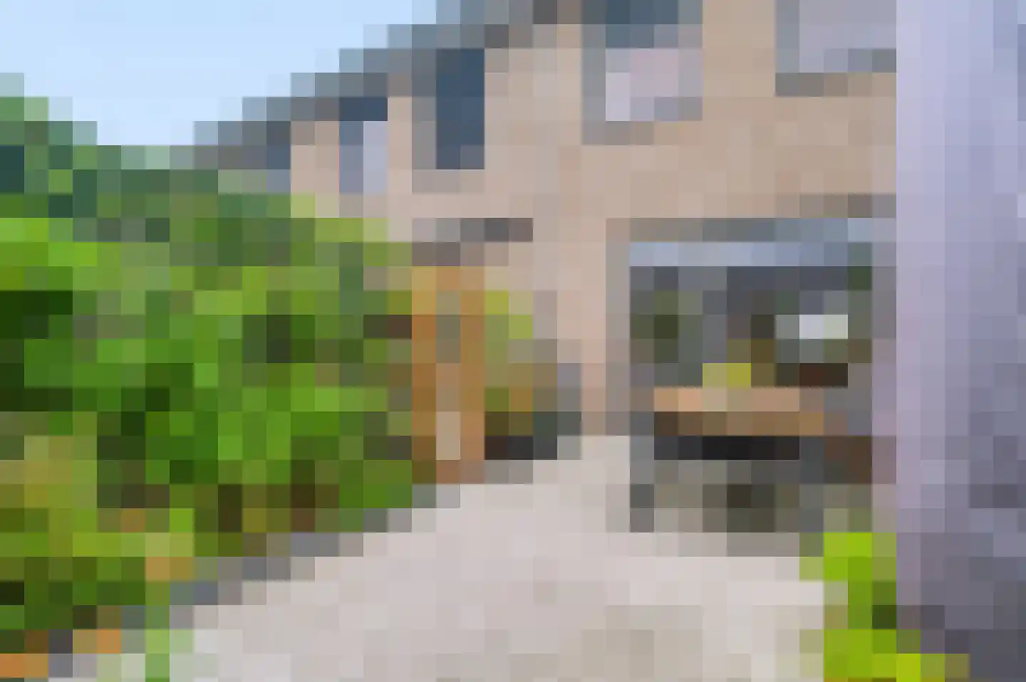 Blauwselmolen 5 Zwolle thumbnail 32