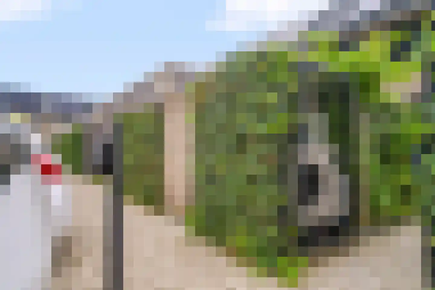 Blauwselmolen 5 Zwolle thumbnail 34