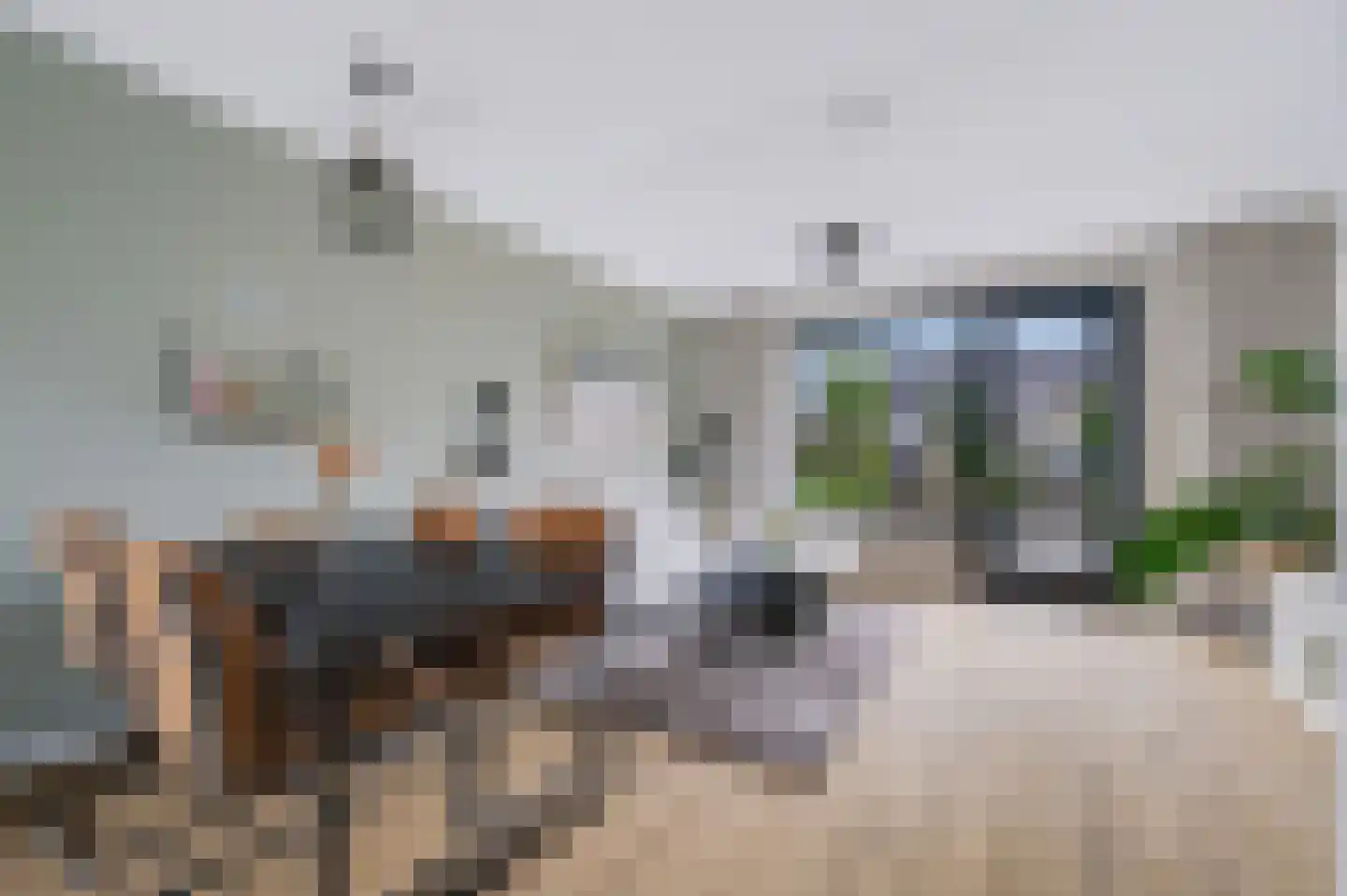 Blauwselmolen 5 Zwolle thumbnail 5