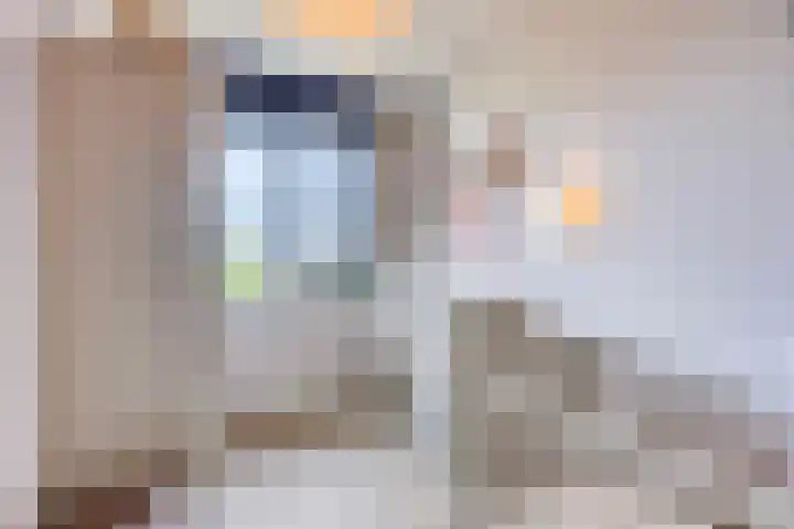 Blauwselmolen 7 Zwolle thumbnail 14