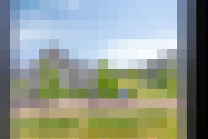 Blauwselmolen 7 Zwolle thumbnail 16