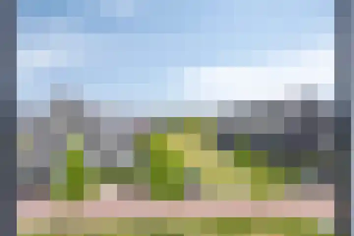 Blauwselmolen 7 Zwolle thumbnail 20
