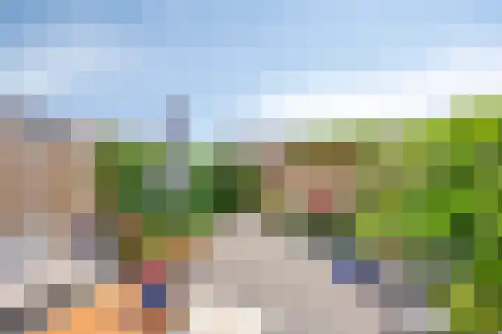 Blauwselmolen 7 Zwolle thumbnail 21