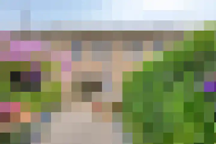 Blauwselmolen 7 Zwolle thumbnail 23