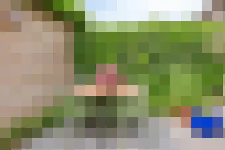 Blauwselmolen 7 Zwolle thumbnail 24