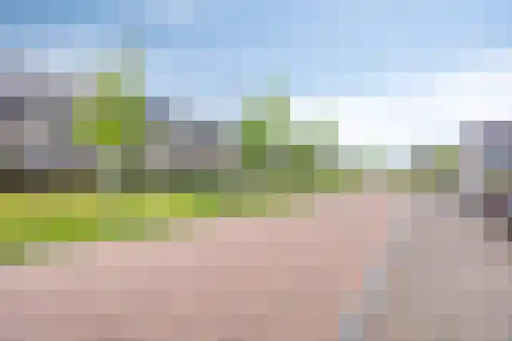 Blauwselmolen 7 Zwolle thumbnail 28