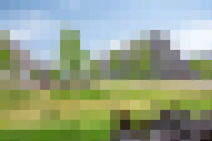 Blauwselmolen 7 Zwolle thumbnail 29
