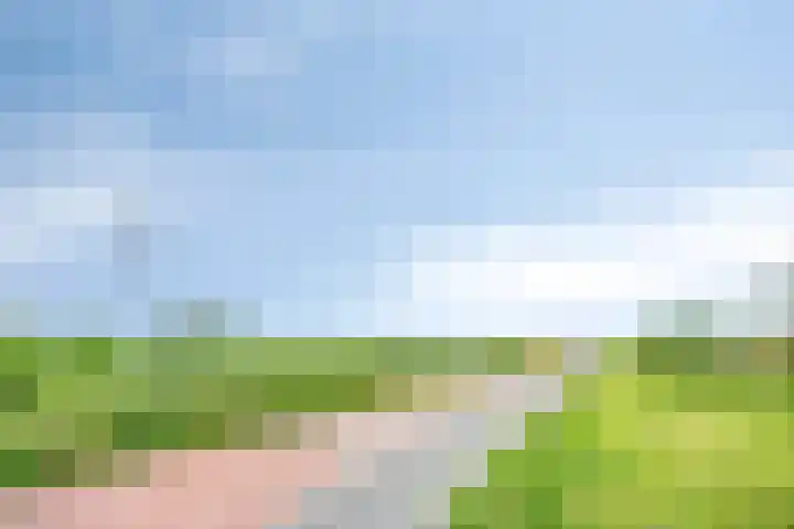 Blauwselmolen 7 Zwolle thumbnail 31