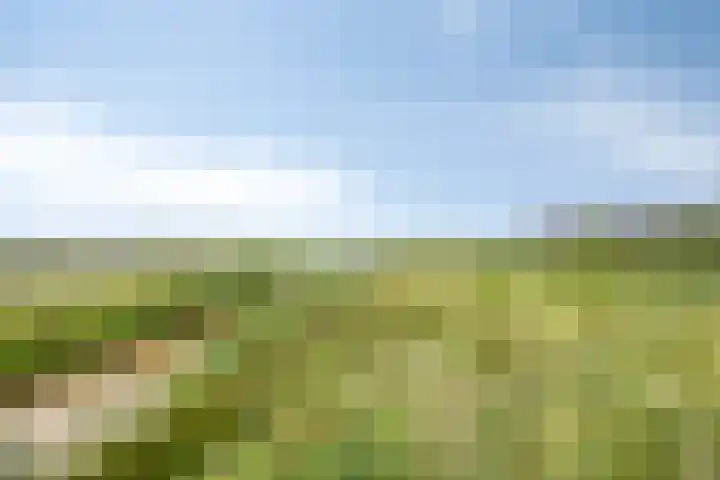 Blauwselmolen 7 Zwolle thumbnail 33