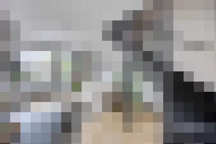 Blauwselmolen 7 Zwolle thumbnail 4
