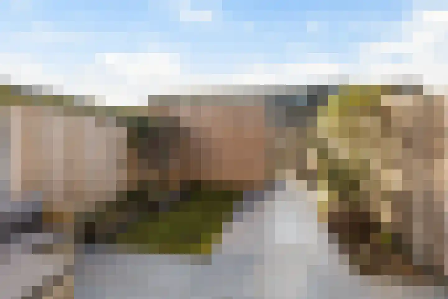 Blauwselmolen 9 Zwolle thumbnail 32