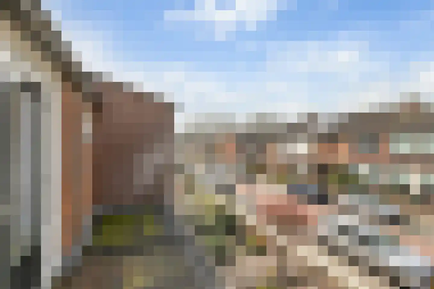 Blauwsparstraat 15 Dorst thumbnail 20