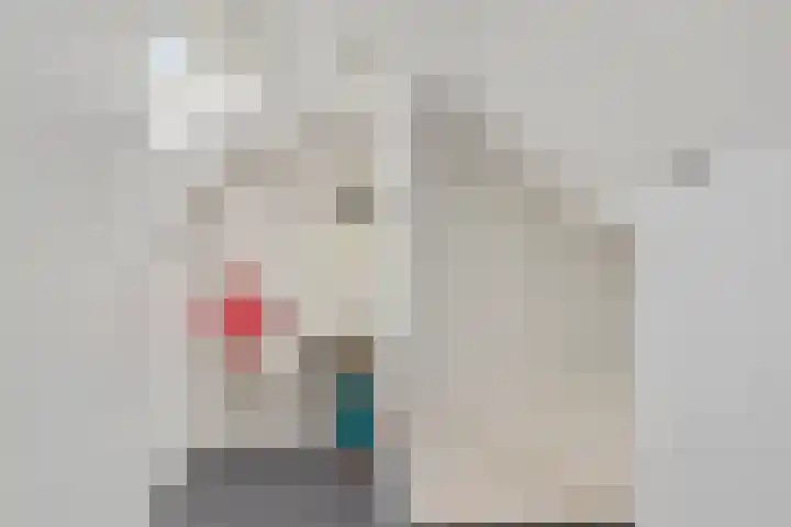 Blauwsparstraat 15 Dorst thumbnail 28