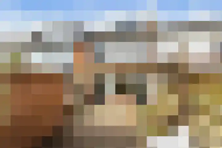 Blauwsparstraat 15 Dorst thumbnail 32