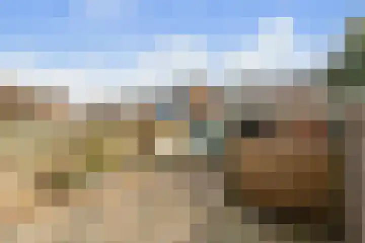 Blauwsparstraat 15 Dorst thumbnail 33