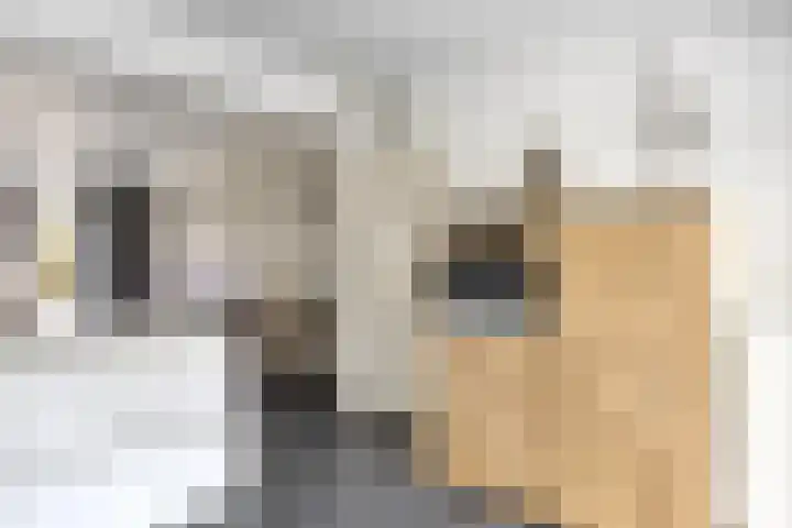 Blauwstraat 10 Oploo thumbnail 11