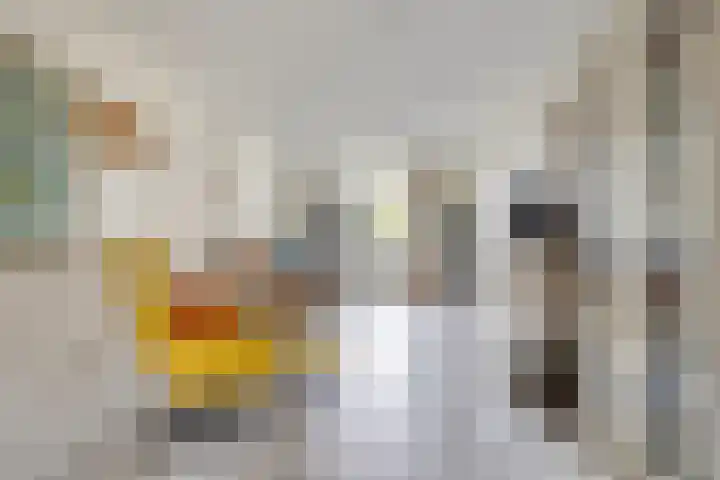 Blauwstraat 10 Oploo thumbnail 15