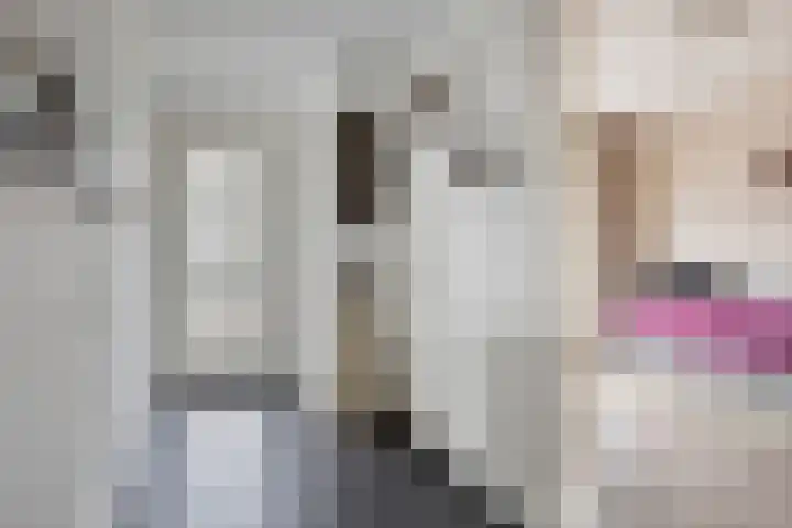 Blauwstraat 10 Oploo thumbnail 16