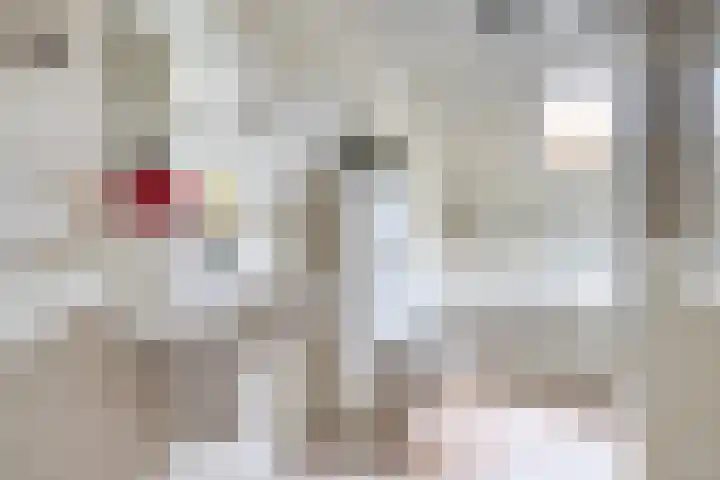 Blauwstraat 10 Oploo thumbnail 29