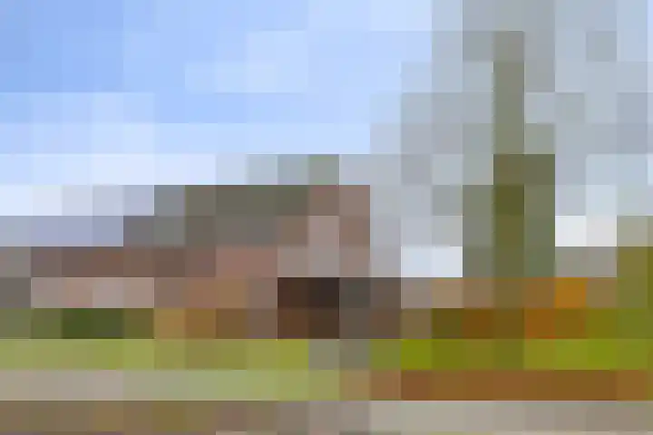 Blauwstraat 10 Oploo thumbnail 41