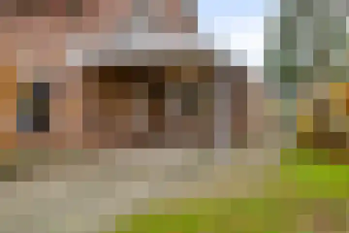 Blauwstraat 10 Oploo thumbnail 43