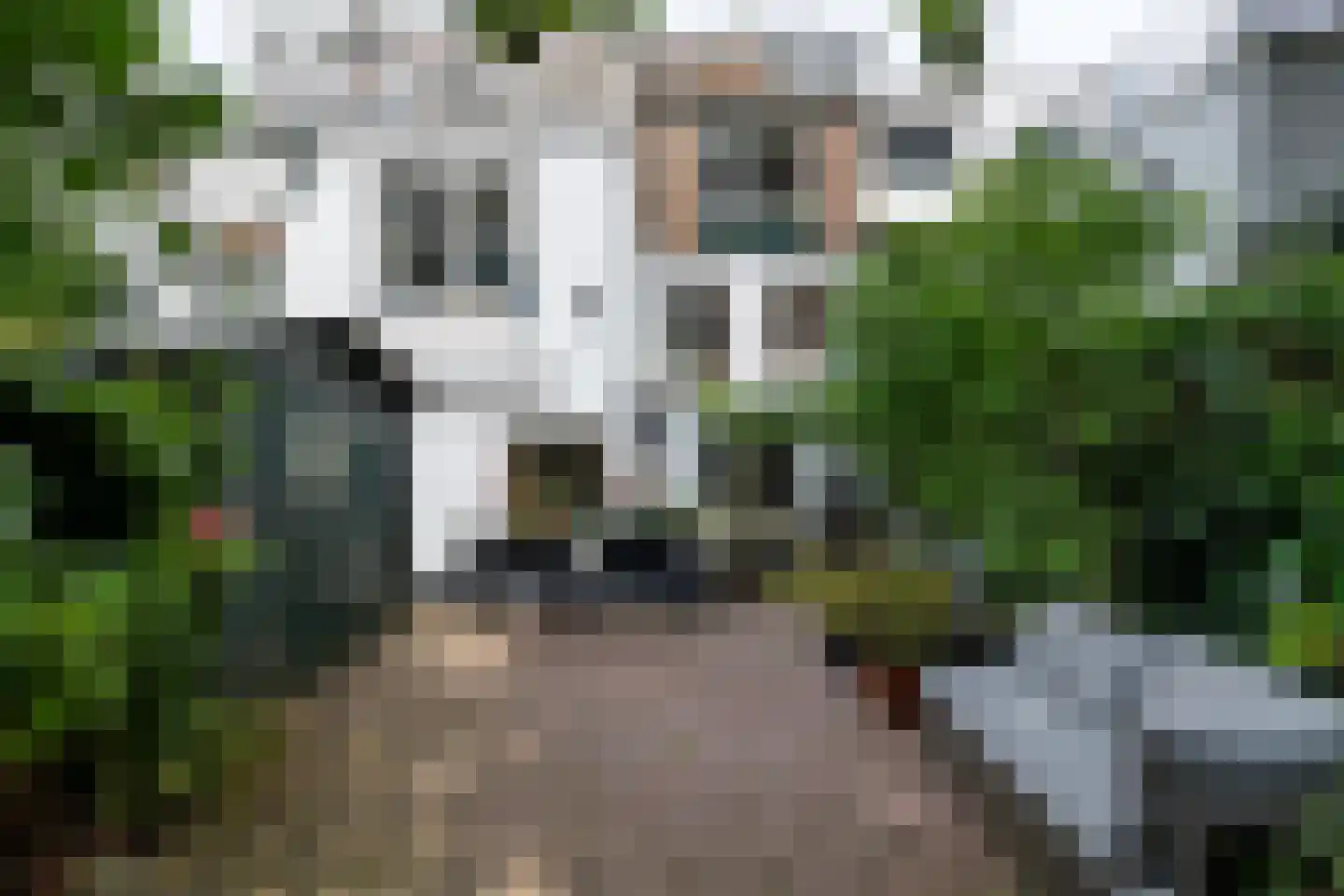 Blauwstraat 17 Gouda thumbnail 25