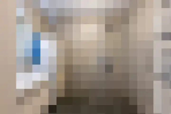 Blauwstraat 19 Sint-Maartensdijk thumbnail 20