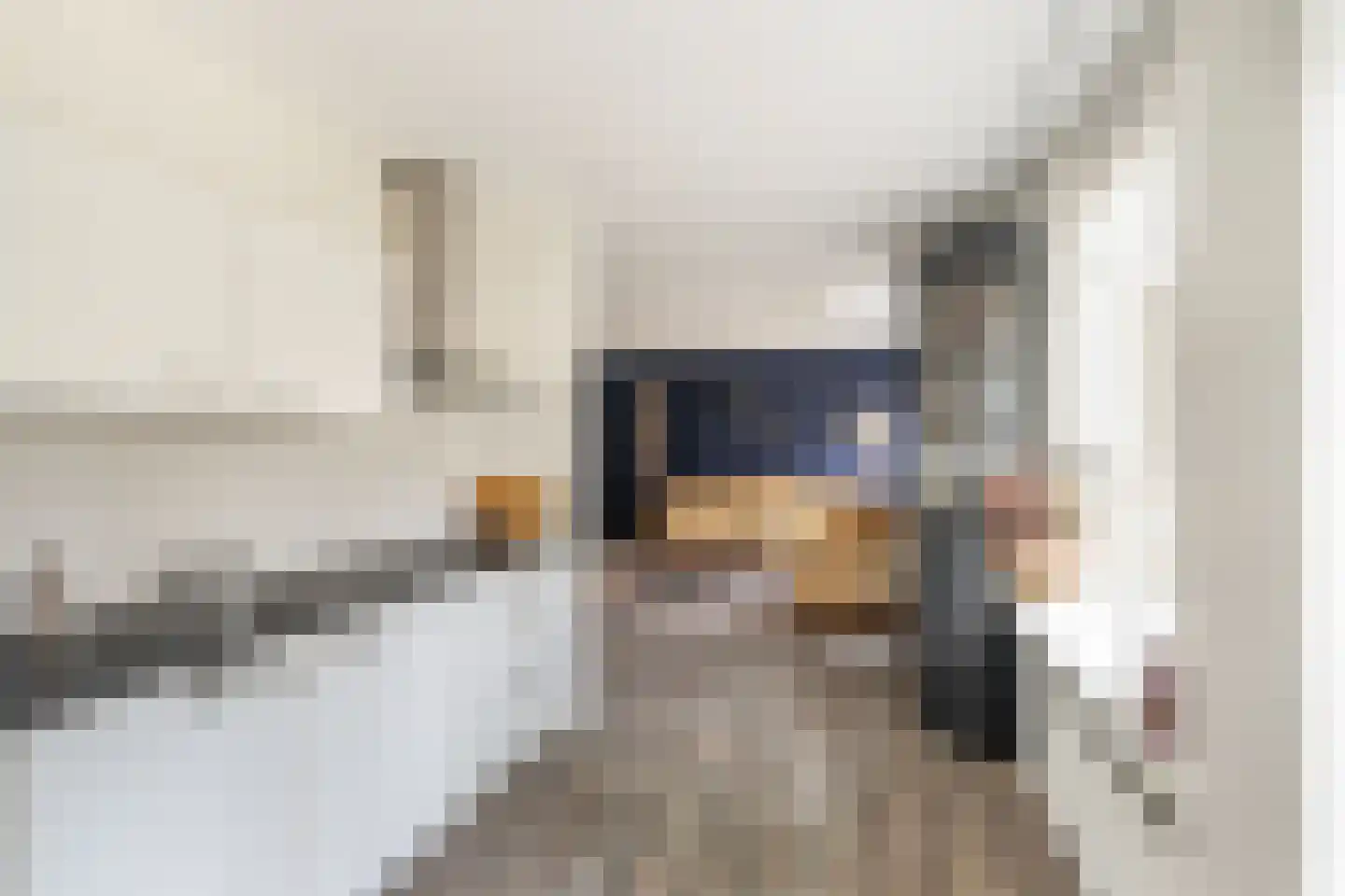Blauwstraat 3 Sint-Maartensdijk thumbnail 16