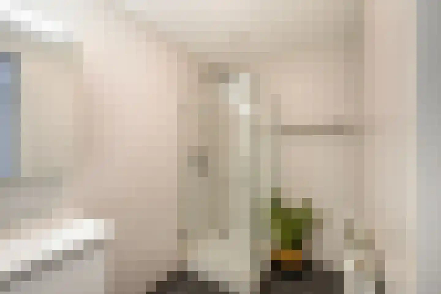 Blauwstraat 3 Sint-Maartensdijk thumbnail 22