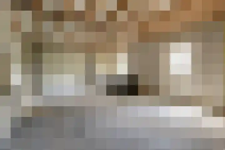 Blauwstraat 6 Maasbommel thumbnail 27