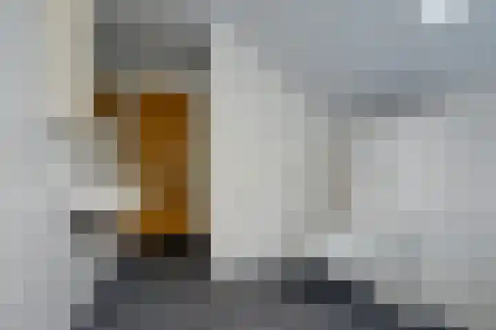 Blauwstraat 6 Maasbommel thumbnail 32