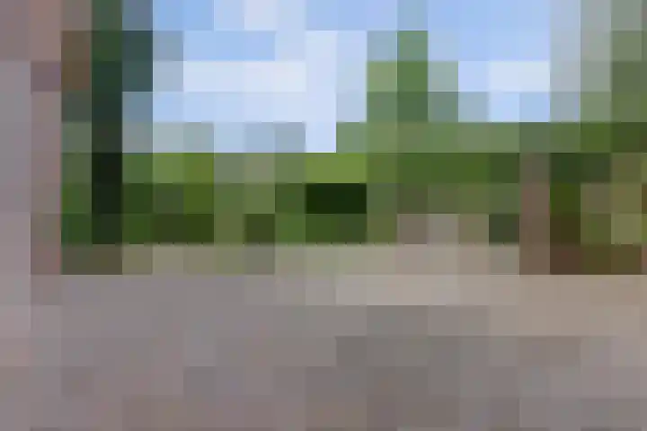 Blauwstraat 6 Maasbommel thumbnail 39