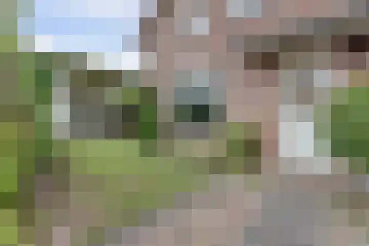 Blauwstraat 6 Maasbommel thumbnail 40