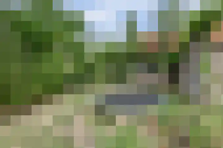 Blauwstraat 6 Maasbommel thumbnail 43