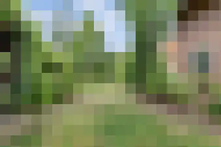 Blauwstraat 6 Maasbommel thumbnail 46