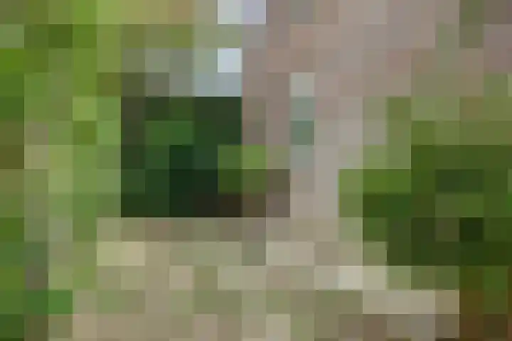 Blauwstraat 6 Maasbommel thumbnail 50