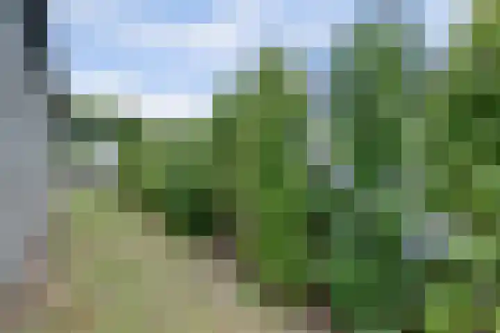 Blauwstraat 6 Maasbommel thumbnail 52